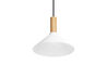 emblem pendant light - 13