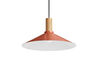 emblem pendant light - 11