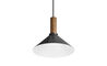 emblem pendant light - 7
