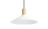 emblem pendant light - 14