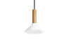emblem pendant light - 12