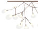 heracleum endless suspension lamp - 13