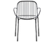 hiray dining armchair - 1