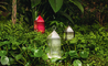 lantern portable lamp - 4