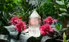 lantern portable lamp - 3