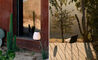 lucca portable lamp - 31