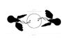 lucellino doppio wall/ceiling lamp - 4