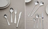 maya 2000 flatware set - 2
