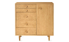 nelson basic cabinet series 5-drawer cabinet with door - 1