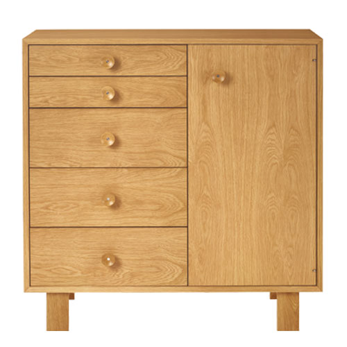 Nelson Basic Cabinet Series 5-Drawer Cabinet with Door