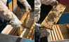 bee hive - 6