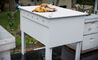 bee hive - 7