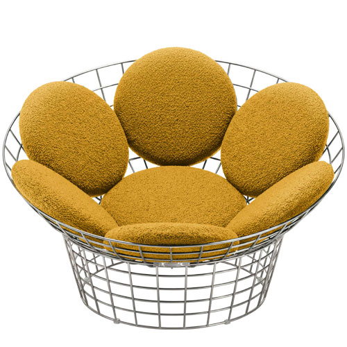 Peacock Chair