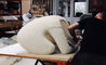 pelican chair with sheepskin - 18