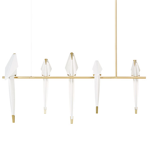 perch light branch