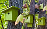 pitch birdhouse - 3