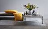 poul kjaerholm pk61 coffee table - 11
