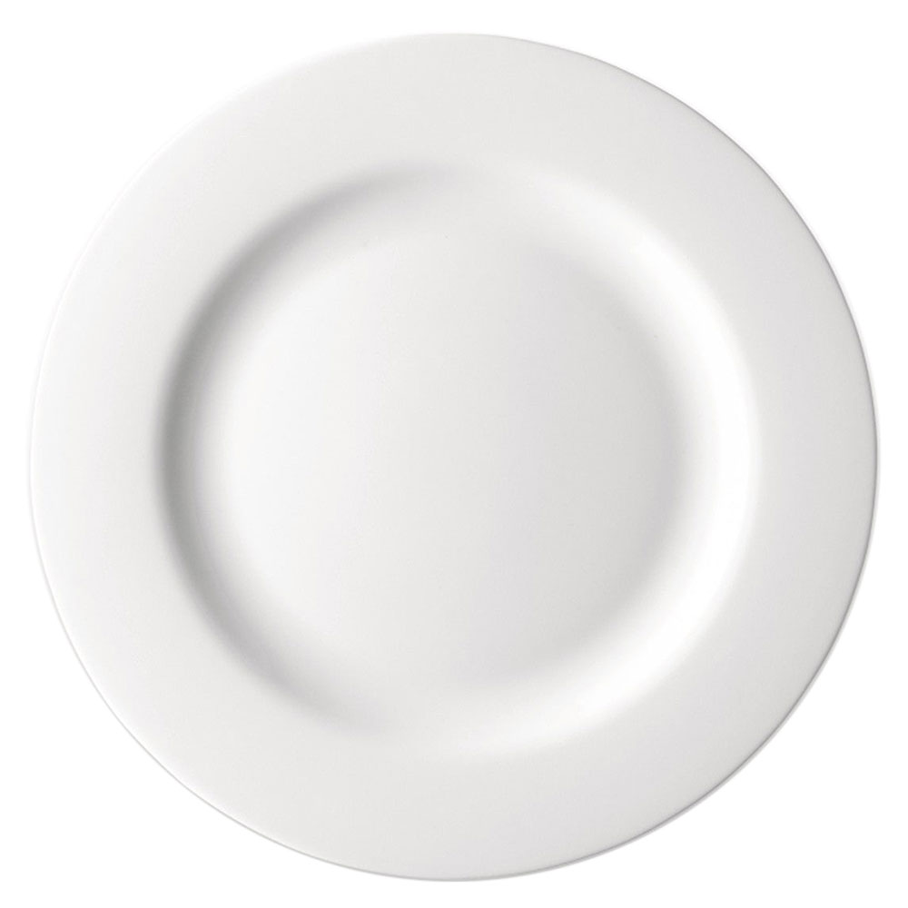 platebowlcup dinner plate set of 4