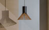 puncto 4203 pendant lamp - 10