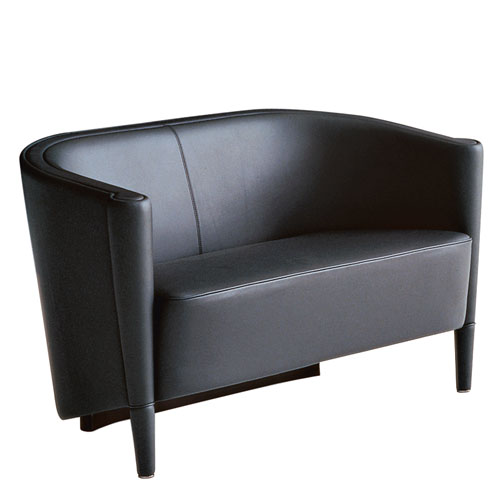 rich 2 seat sofa