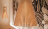secto 4200 pendant lamp - 4