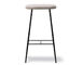 spine metal base stool - 3