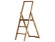 step stepladder - 3