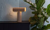 teelo 8020 table lamp - 9