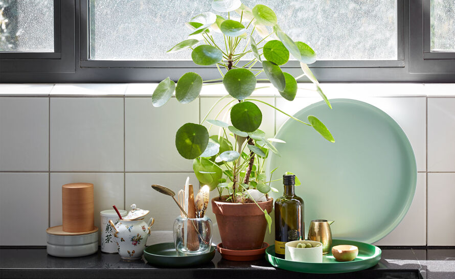 Trays, set of 3 by Jasper Morrison for Vitra | hive Trays, set of 3 by Jasper Morrison for Vitra | hive